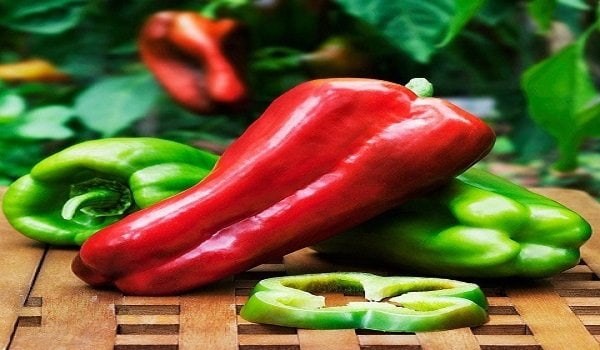 تصویر 1 از قیمت خرید فلفل دلمه ای کاپی + فروش ویژه